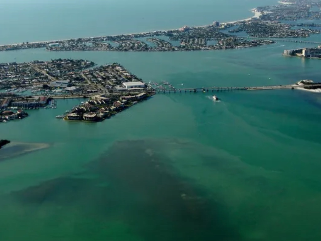 Yacht charters near me